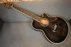 Takamine PT-118【USED/1984年】_2