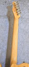 Fender 【USED】 Jim Adkins JA-90 Telecaster Thinline ~Natural~ [2013年製][3.21kg]_7