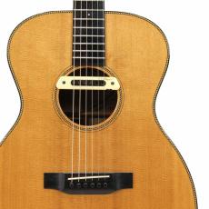 Breedlove Oregon OM/SMYe_5