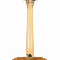 Breedlove Oregon OM/SMYe_9