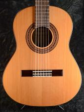 Martinez MR-520C【オンラインストア限定】_4