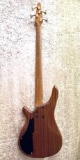 TUNE TB-02 Lacewood_4