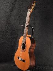 Martinez MR-580C【オンラインストア限定】_2