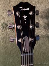 Taylor 【Japan Limited 】514ce Next Generation -Sakura Top- #1204166022【Claria™搭載】【Slim Neck】【送料当社負担】_4