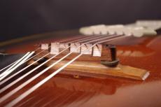 Gibson L-4C_6
