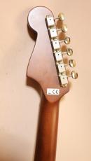 Fender REDONDO PLAYER_12