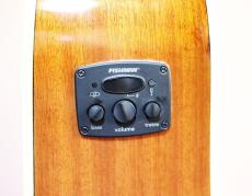 Fender REDONDO PLAYER_13