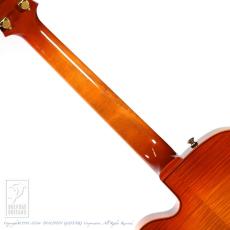 Sadowsky The Jim Hall Model (VLB)_6