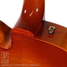 Sadowsky The Jim Hall Model (VLB)_9