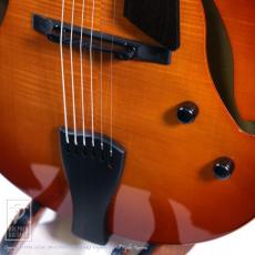 Sadowsky The Jim Hall Model (VLB)_10