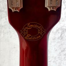 Gibson Limited Edition SG-Special_6