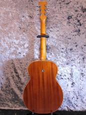 Dobro C-65E Plainsman Electric '66_2