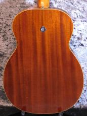 Dobro C-65E Plainsman Electric '66_4