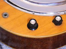 Dobro C-65E Plainsman Electric '66_8