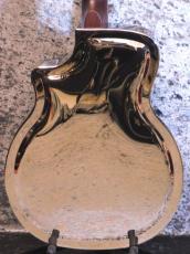 Republic Guitars Tricone Cutaway Polished Nickel Finish_4