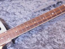 Republic Guitars Tricone Cutaway Polished Nickel Finish_6