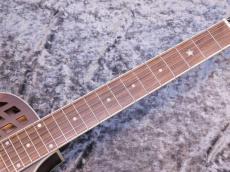 Republic Guitars Highway 61 "Full Scale" Woodbody_6