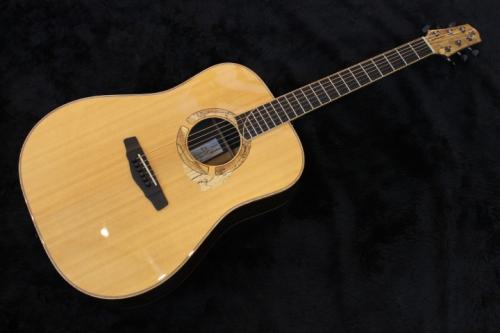 Yokoyama Guitars DN-SR