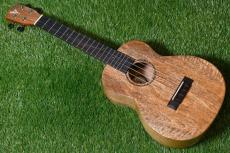DCT KOKOMO-8 Tenor_2