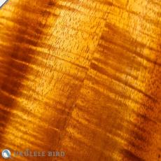 KG Custom Tenor Ukulele All Koa Ebony Binding_10