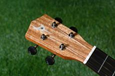 DCT KOKOMO-8 Tenor_6