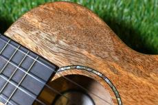 DCT KOKOMO-8 Tenor_10