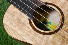 Big Island U-MO-CTS Concert_10