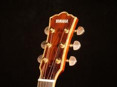 YAMAHA S-51X【テリー中本スペシャルオーダーモデル S-51をベースに製作されたハカランダ仕様 極上品が入荷です! 】解説試奏動画ご覧ください。_9