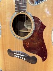Gibson SongwriterStandardEC 【分割無金利・送料無料】_2