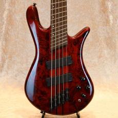 Spector NS Dimension MS5