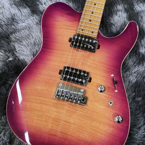 Bacchus TAC24 FMH-RSM/M N-MGT-B -Univers Series-【特価】