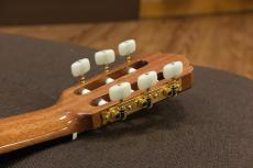 ASTURIAS SOLO CLASSICO / S【国産エレガット】【弦長630mm】_9