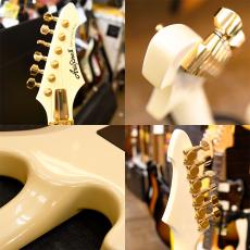 Aria Pro II RS-CUSTOM_3