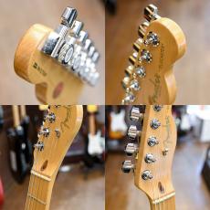 Fender American Standard Telecaster_3