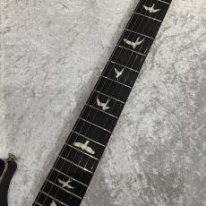 Paul Reed Smith [PRS] CE 24 Semi-Hollow Custom Configuration / Whale Blue_2