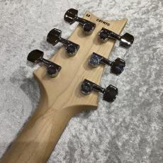 Paul Reed Smith [PRS] CE 24 Semi-Hollow Custom Configuration / Whale Blue_6