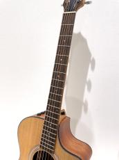 Taylor 112ce_3