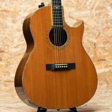 Larrivee C-10 Sea Horse 1990