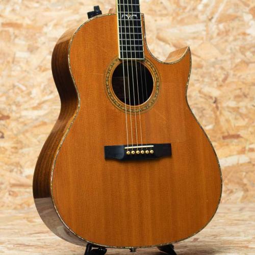 Larrivee C-10 Sea Horse 1990