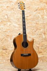 Larrivee C-10 Sea Horse 1990_3