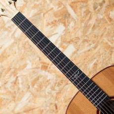 Maestro Guitars Vera MO 2018_6