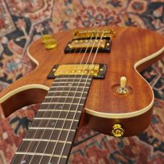 Aria Pro II PE-600MH / STBR 【アウトレット特価】_5