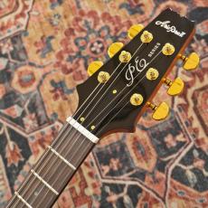 Aria Pro II PE-600MH / STBR 【アウトレット特価】_8