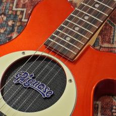 Pignose PGG-200 CA 【アウトレット特価】_4