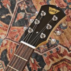 Pignose PGG-200 CA 【アウトレット特価】_7