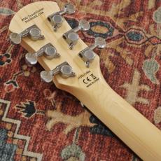 Pignose PGG-200 CA 【アウトレット特価】_10