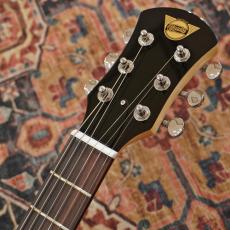 Pignose PGG-200 BK (Black) 【アウトレット特価】_8