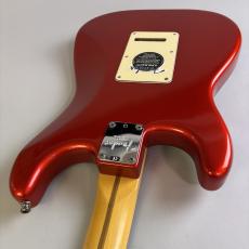 Fender American Standard Stratocaster_10