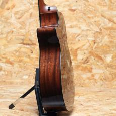 Taylor Next Generation 312ce_5