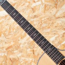 Taylor Next Generation 312ce_6